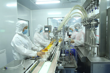 <strong>Filling, Assembly & Packaging</strong>